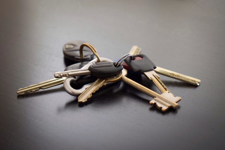 Keyring with a bunch of keys.